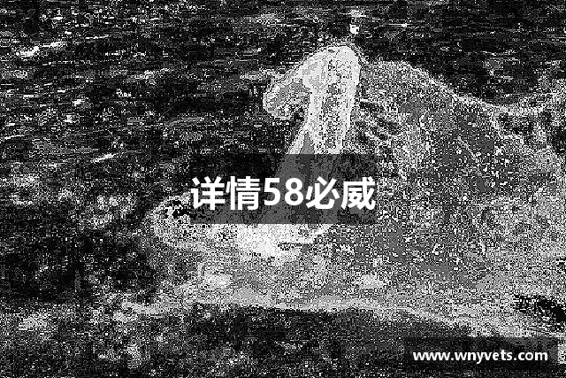 详情58必威